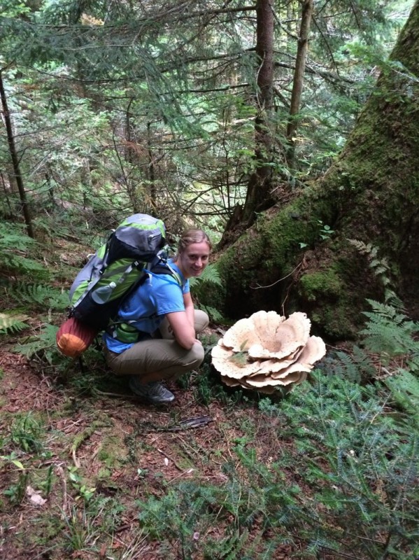 A giant mushroom.