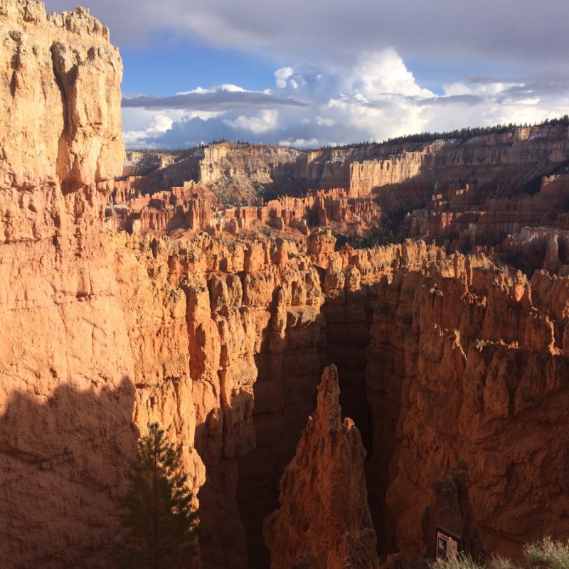 A view of Bryce canyon.