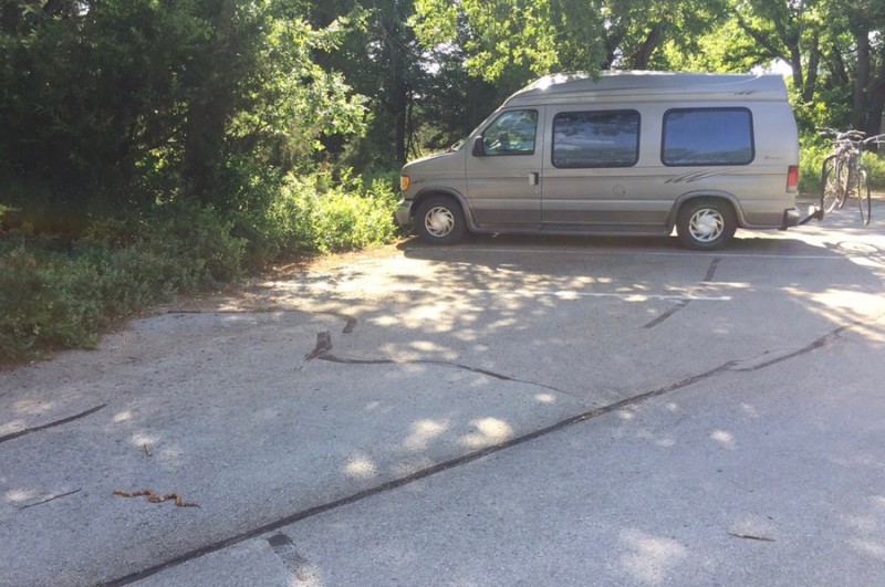 The copperhead we came across in the parking lot