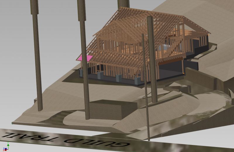 The 3-D model of the house with all the framing.