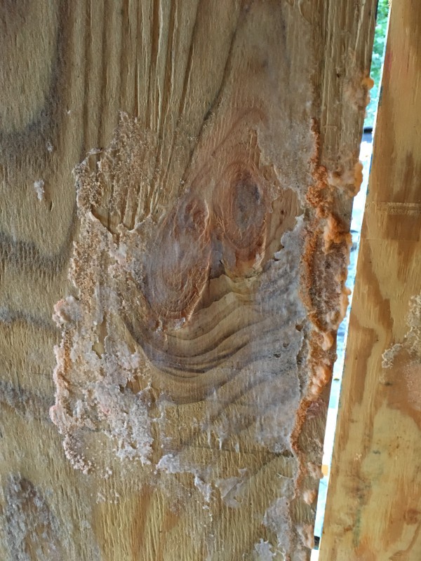 A view of some of the lovely orange mold growing on all our remaining sheets of plywood